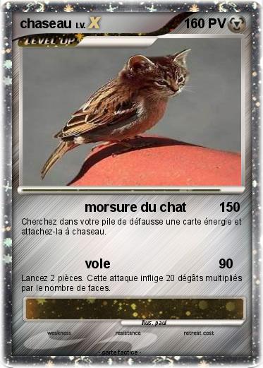 Pokemon chaseau