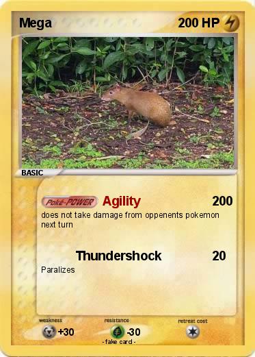Pokemon Mega