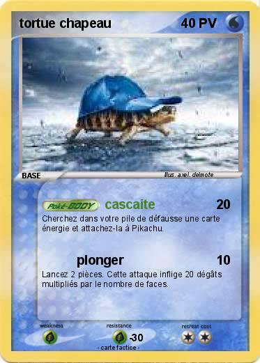 Pokemon tortue chapeau