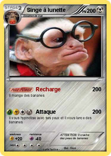 Pokemon Singe à lunette