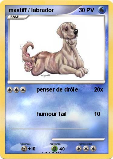 Pokemon mastiff / labrador