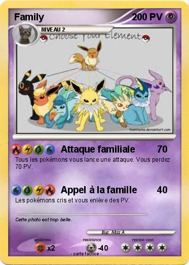 Pokemon Family