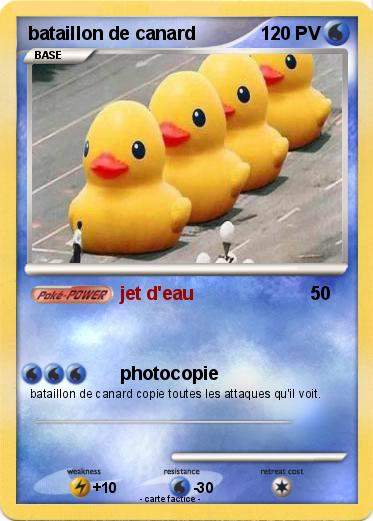 Pokemon bataillon de canard