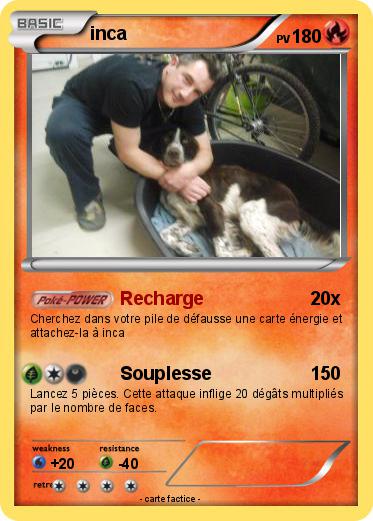 Pokemon inca