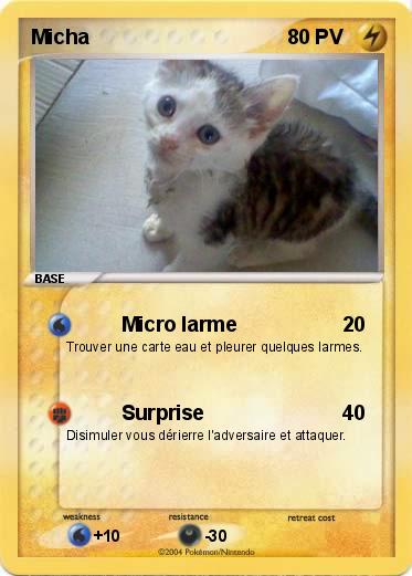 Pokemon Micha