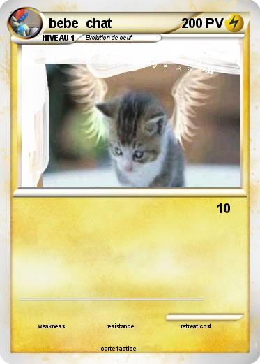 Pokemon bebe  chat