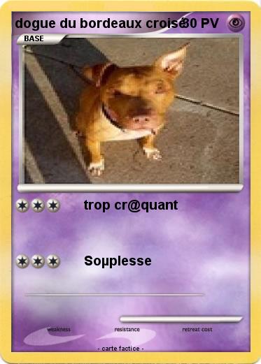Pokemon dogue du bordeaux croisé