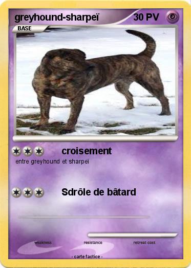 Pokemon greyhound-sharpeï