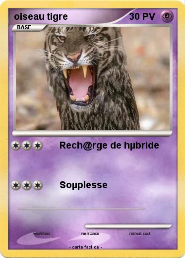 Pokemon oiseau tigre
