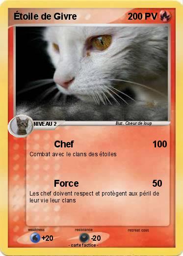Pokemon Étoile de Givre