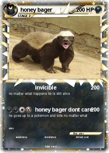 Pokemon honey bager