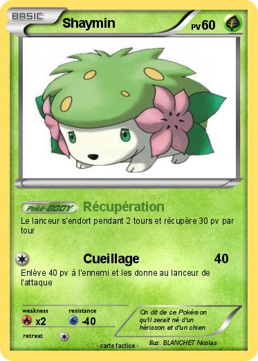 Pokemon Shaymin