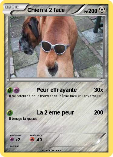 Pokemon Chien a 2 face