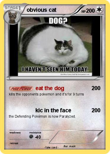 Pokemon obvious cat