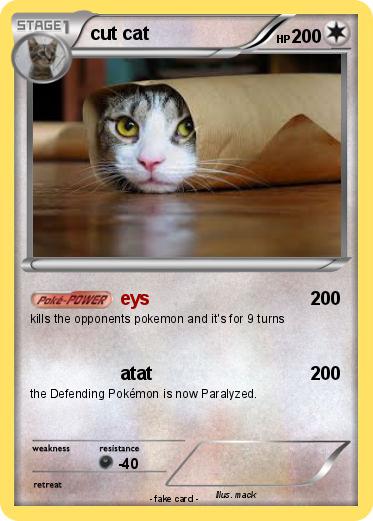 Pokemon cut cat