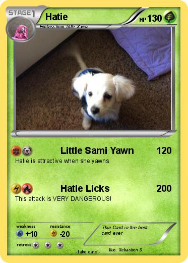 Pokemon Hatie