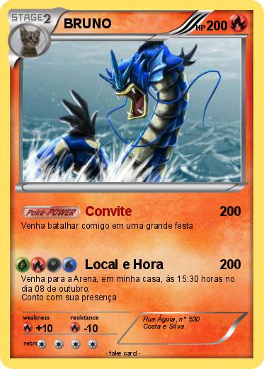 Pokemon BRUNO