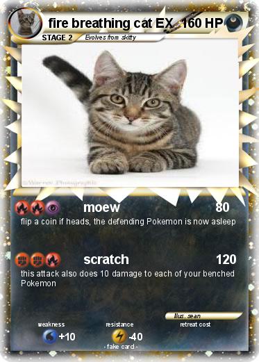 Pokemon fire breathing cat EX