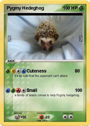 Pokemon Pygmy Hedeghog