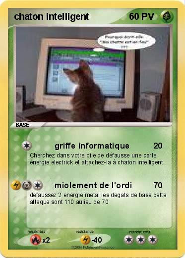 Pokemon chaton intelligent