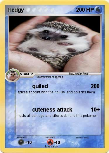 Pokemon hedgy