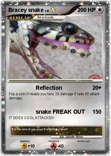 Pokemon Bracey snake