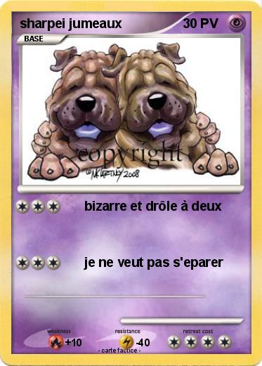 Pokemon sharpei jumeaux