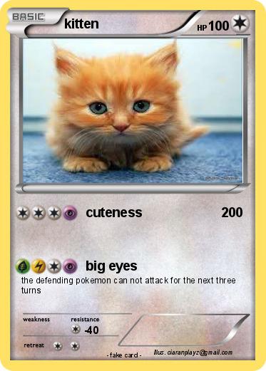Pokemon kitten