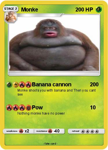 Pokemon Monke