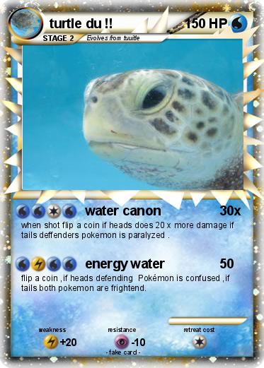 Pokemon turtle du !!