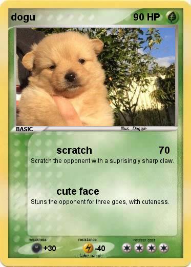 Pokemon dogu
