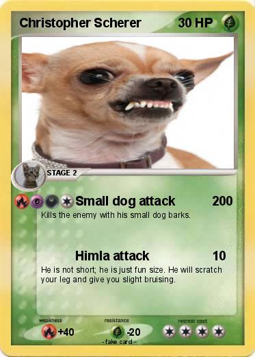 Pokemon Christopher Scherer