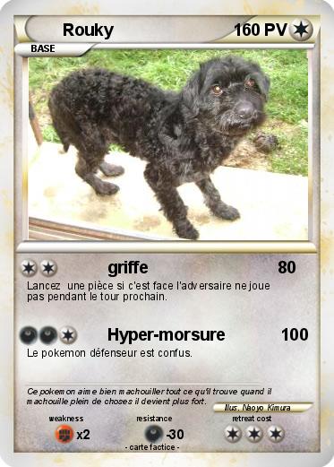 Pokemon Rouky