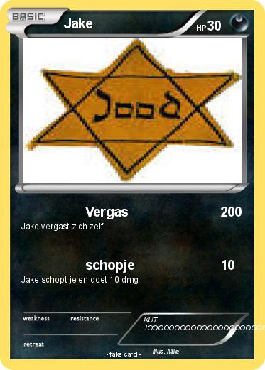 Pokemon Jake