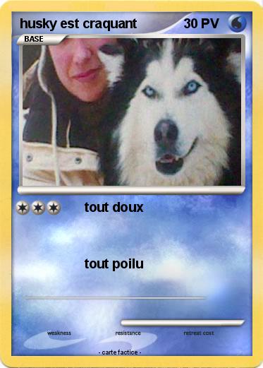 Pokemon husky est craquant