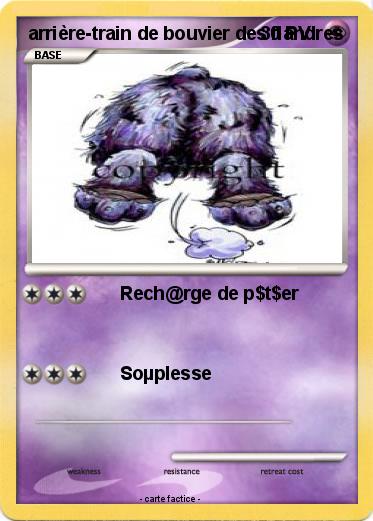 Pokemon arrière-train de bouvier des flandres