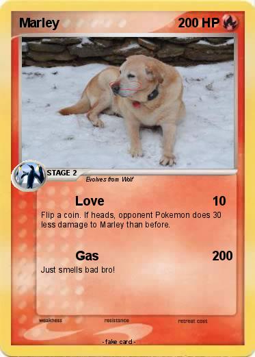 Pokemon Marley