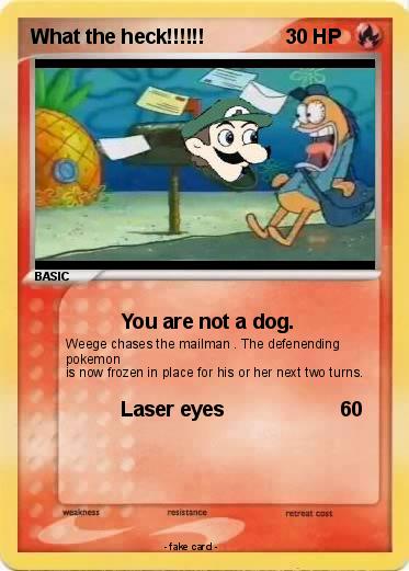 Pokemon What the heck!!!!!!
