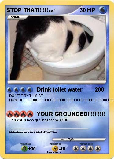 Pokemon STOP THAT!!!!!!