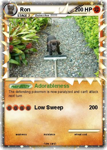 Pokemon Ron
