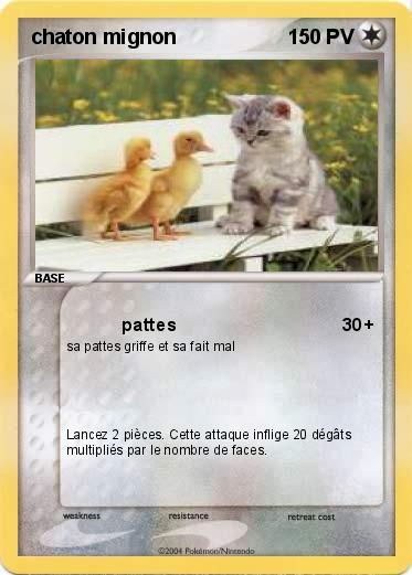 Pokemon chaton mignon