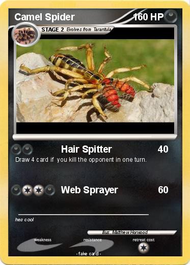 Pokemon Camel Spider