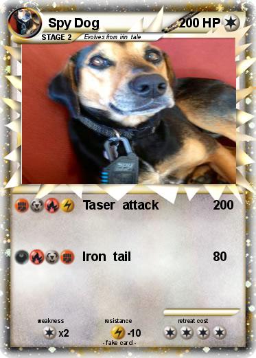 Pokemon Spy Dog