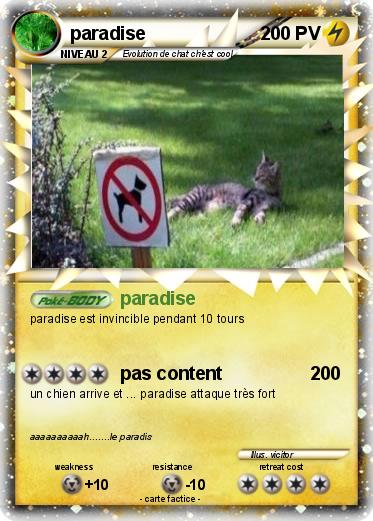 Pokemon paradise