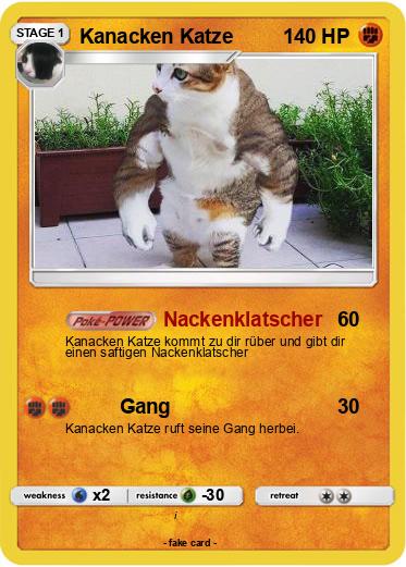 Pokemon Kanacken Katze