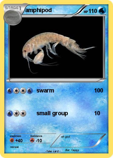 Pokemon amphipod