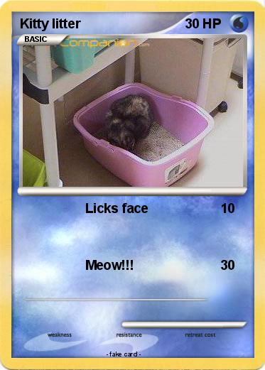 Pokemon Kitty litter