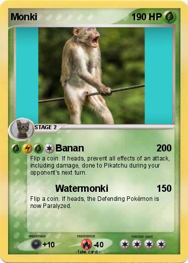 Pokemon Monki
