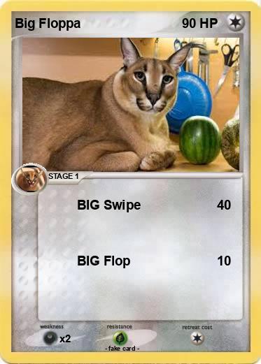 Pokemon Big Floppa