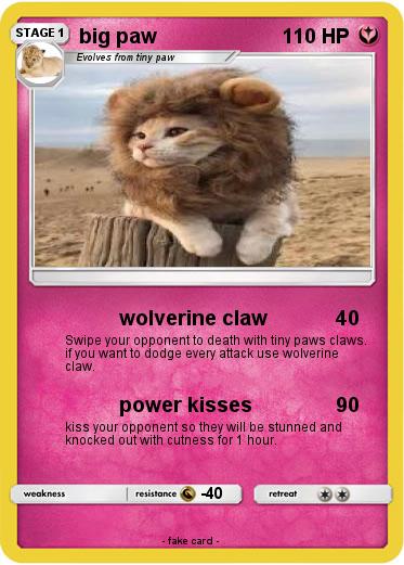 Pokemon big paw